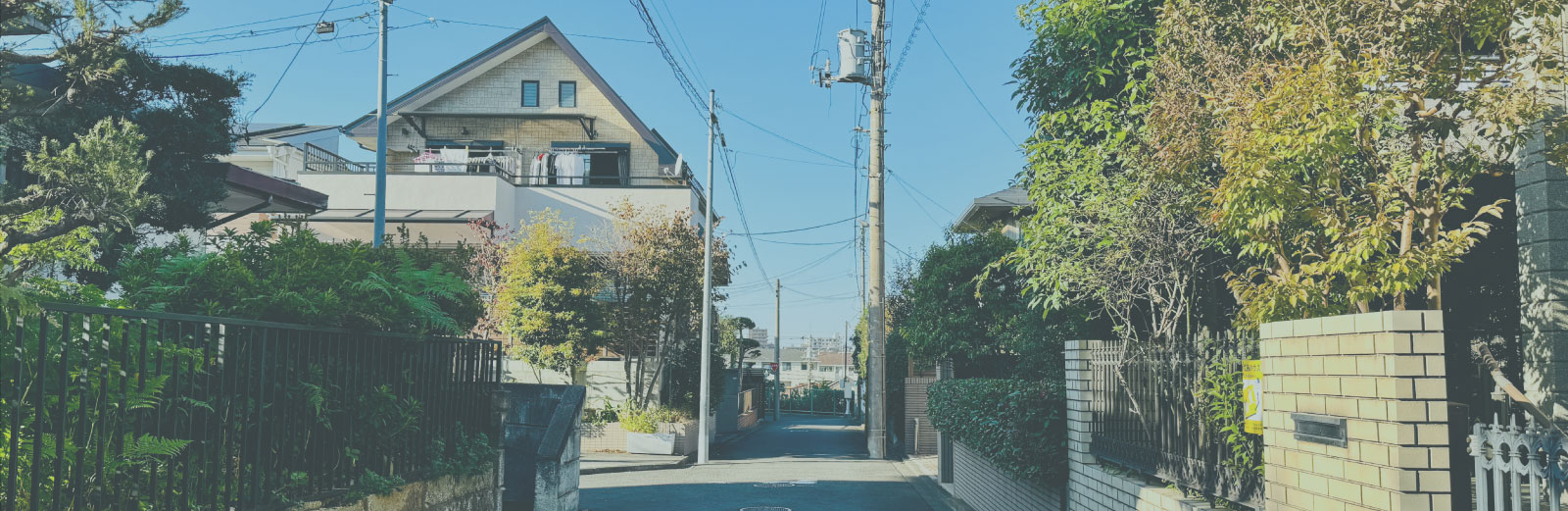 道の景色